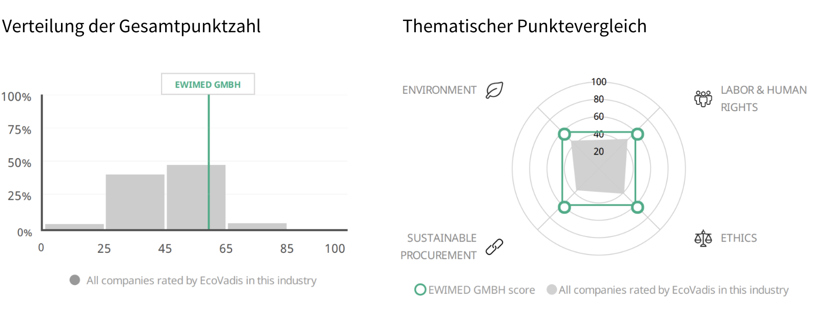 Visuelle Darstellung ecovadis des Ergebnisses für die Bewertung im Jahr 2024