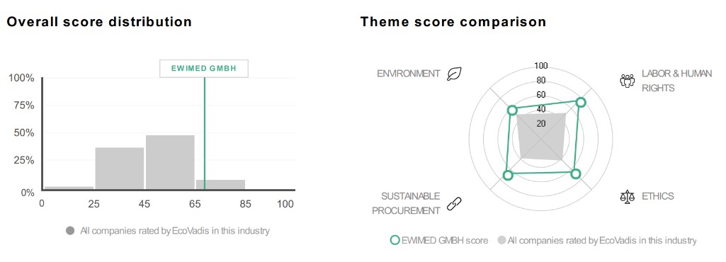 score details 2025 ecovadis