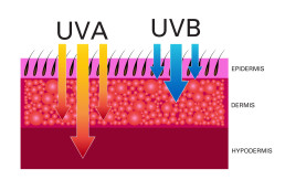 UVA und UVB