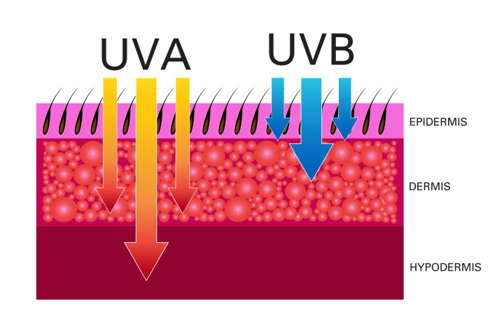 UVA und UVB