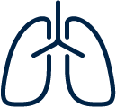 Icon Lunge dunkelblau